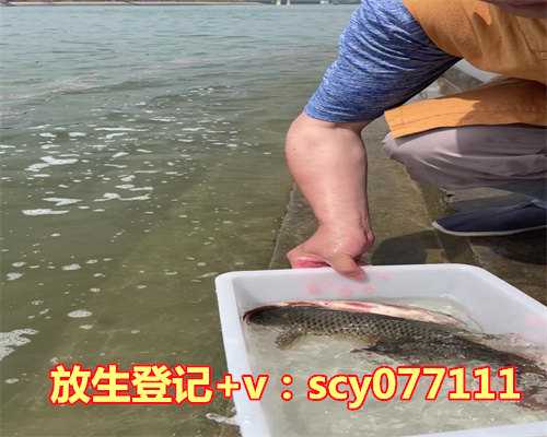 把小鸟放生，小猴和小鸟