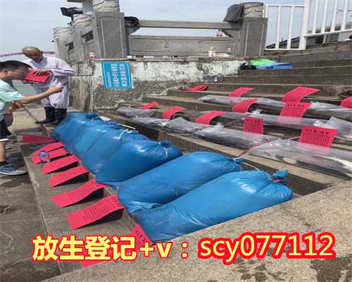 南京周边放生最佳地点在哪，放生变杀生玄武湖现死鱼南京专家：不要随意放生