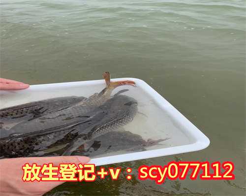 大连哪里适合放生乌龟，大连市宗教局清明期间引导信众绿色文明安全祭祀