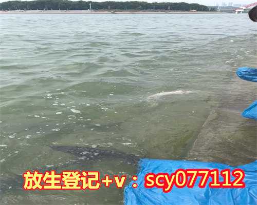 冷冻库的鱼籽可以放生吗，寒冷的冬季里预防冻疮要趁早