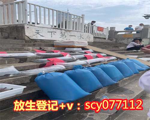 为什么放生鲫鱼不肯走呢，什么季节适宜放生鱼类