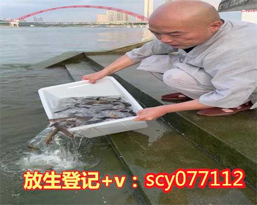 生日可以放生乌龟吗