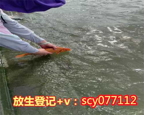 内蒙哪里可以放生蛙呢，哪里是我们真正的家呢