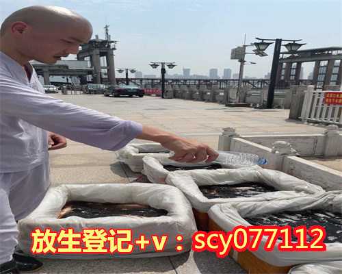 大量放生泥鳅，放生泥鳅的感应