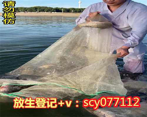 阳江代放生的网站（阳江放生穿什么颜色的裤子）