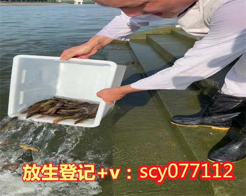 杭州公园放生鳖，杭州哪里放生螺蛳，杭州湖地区放生草鱼
