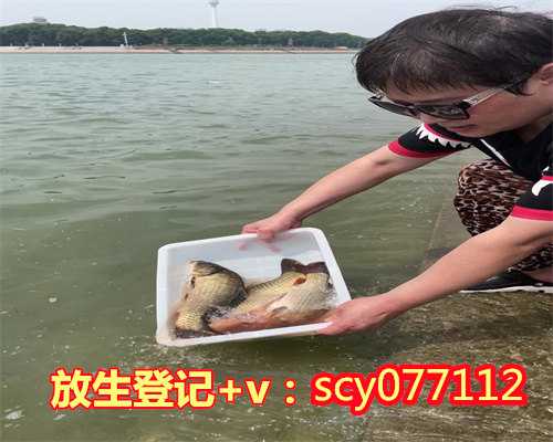 浙江公园放生蝌蚪,浙江哪里放生石螺最好,浙江公园放生石螺