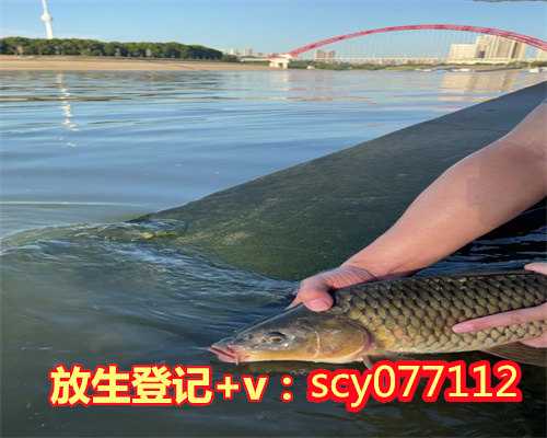 今日宜放生梅州9月9几点放生最好【梅州放生最佳地点在哪里】