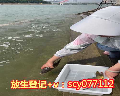 广州哪里可以放生鳖