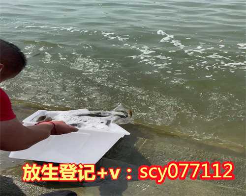 山东可以放生的地点