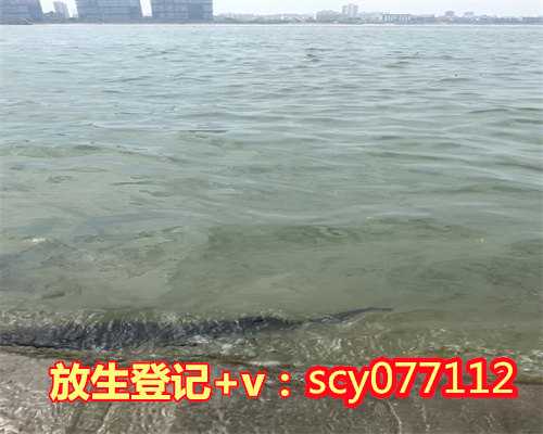 海口哪里适合放生蚬子