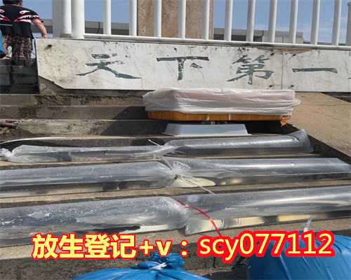 宁波儿童生日放生怎么说祝福语