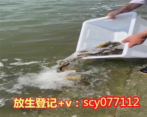 10月初一可以放生吗，可以快速放生10万条生命的几个方法_2