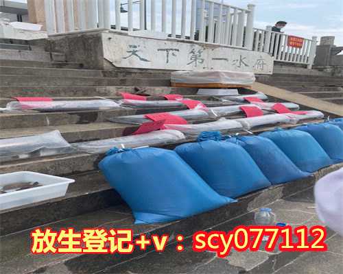 厦门哪里可以放生飞禽，闽籍当代艺术家伊玄回厦门办个展